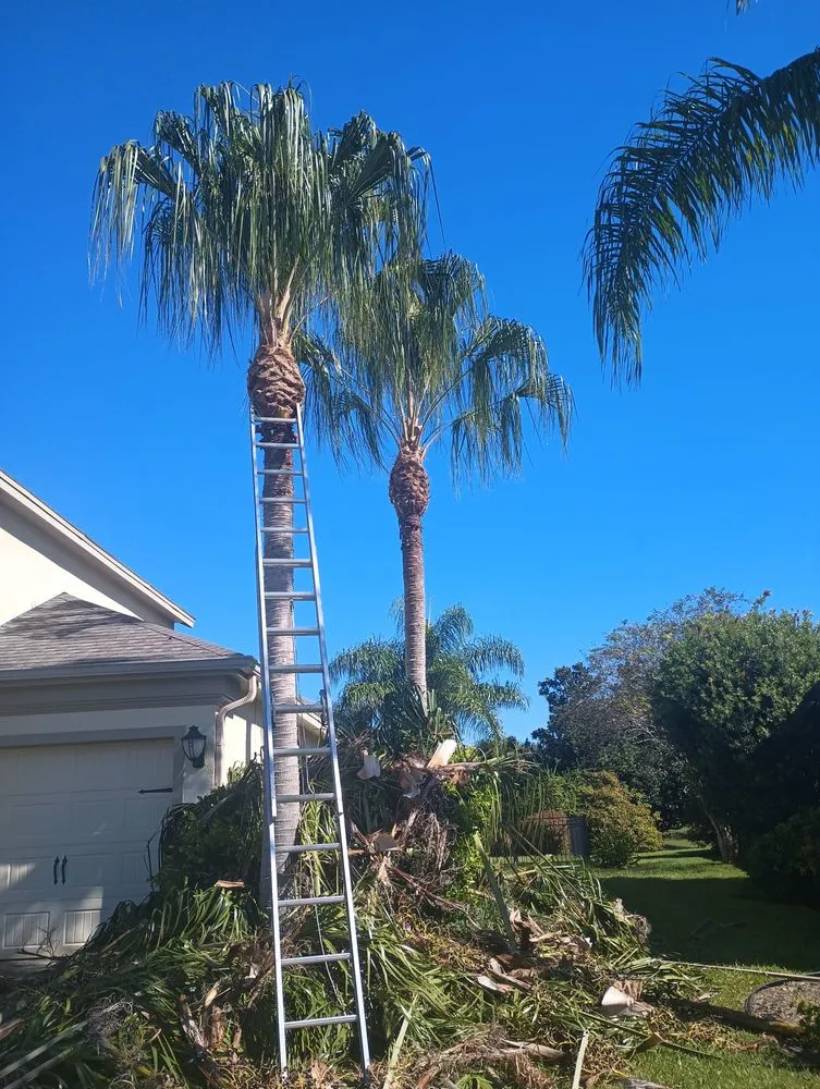 Top-rated lawn mowing service in Melbourne, FL - Pena's Lawns Services