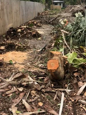 Pena's Lawns Services Logo