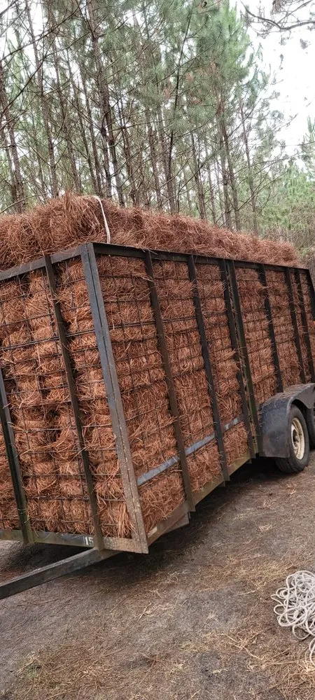 Expert lawn mowing service in Patterson, GA - Pena's Pine Straw