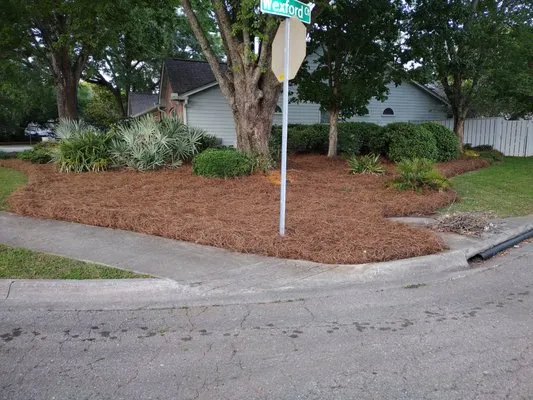 Pena's Pine Straw
