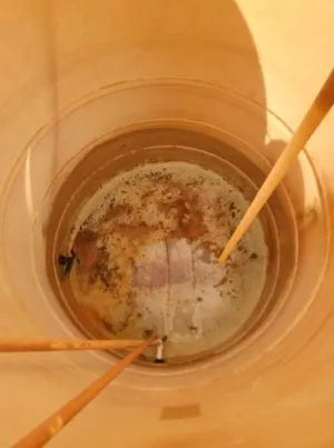 Trusted landscape design for year-round maintenance in Southwest City, MO by Pendergraft Enterprises