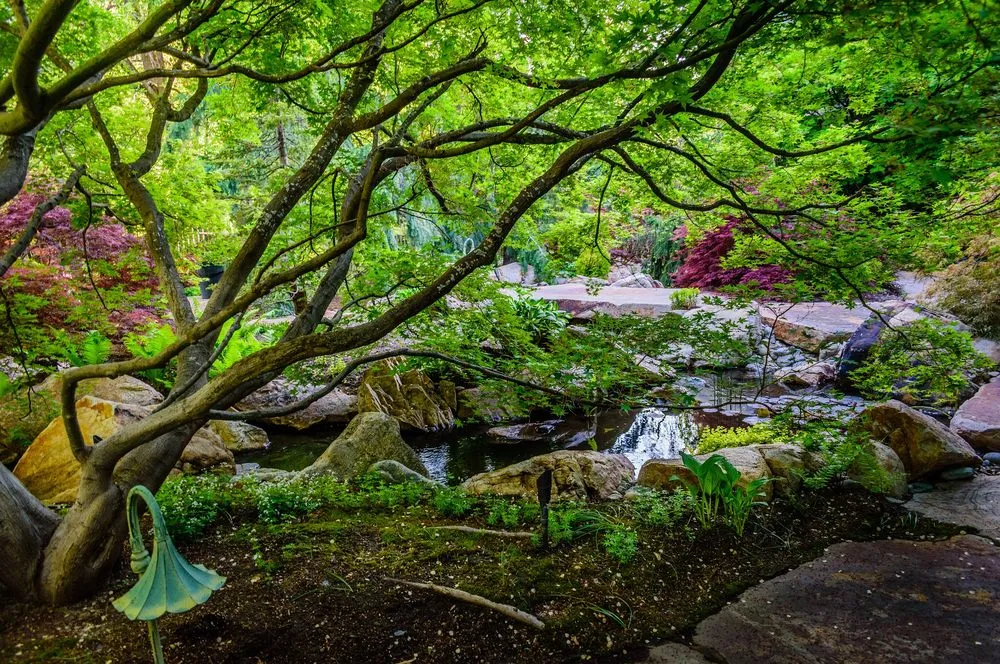 Local yard cleanup service for residential properties in SANDY, UT by Pendleton Design Management