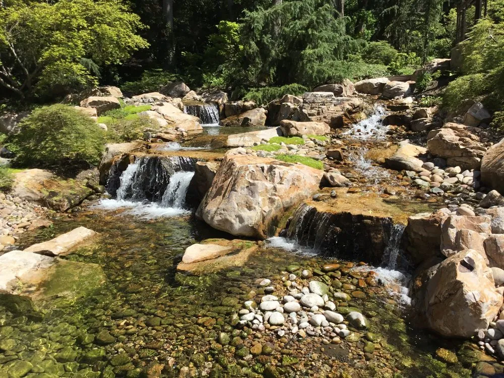 Custom yard cleanup service in SANDY, UT - Pendleton Design Management