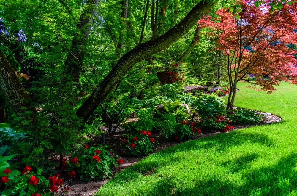 Expert lawn mowing service experts serving SANDY, UT - Pendleton Design Management