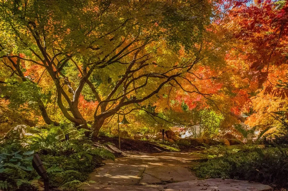 Expert lawn care service in SANDY, UT by Pendleton Design Management