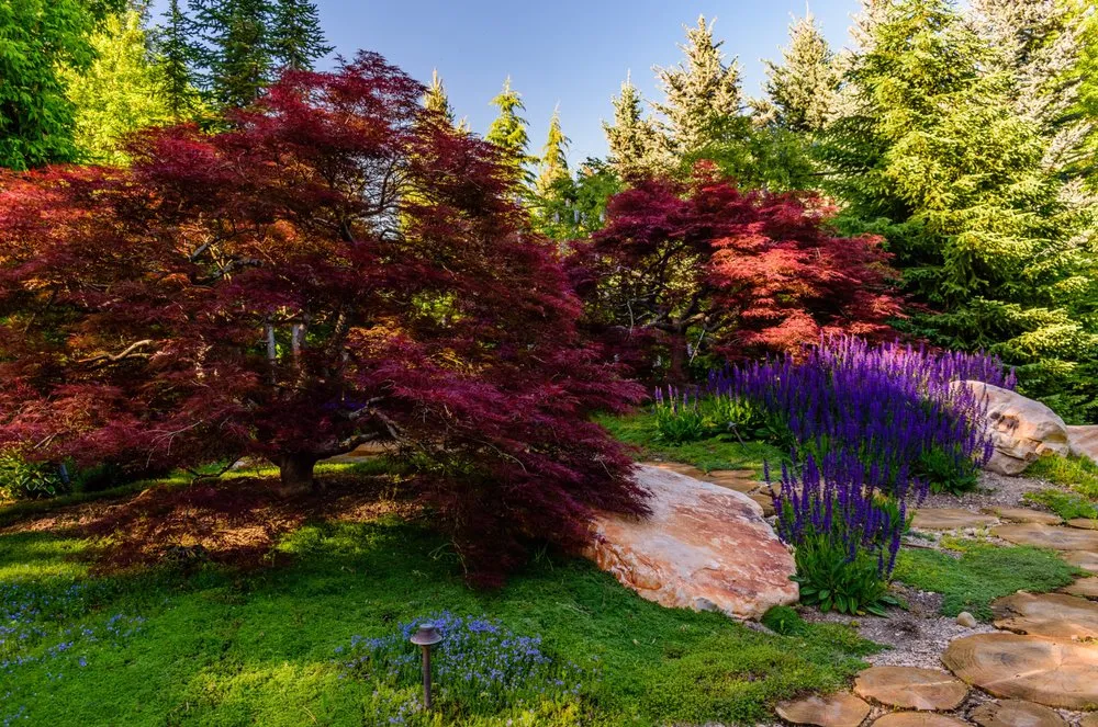 Affordable garden landscaping experts serving SANDY, UT - Pendleton Design Management