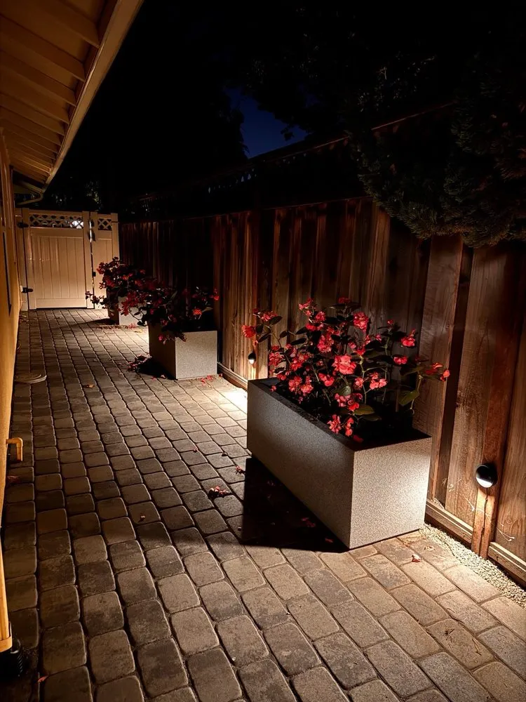 Custom yard cleanup service in San Jose, CA - Penglin Landscaping