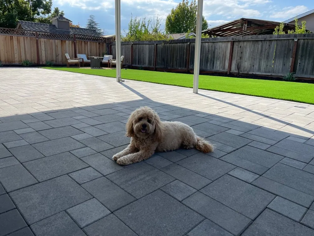 Expert landscaping services for residential properties in San Jose, CA by Penglin Landscaping