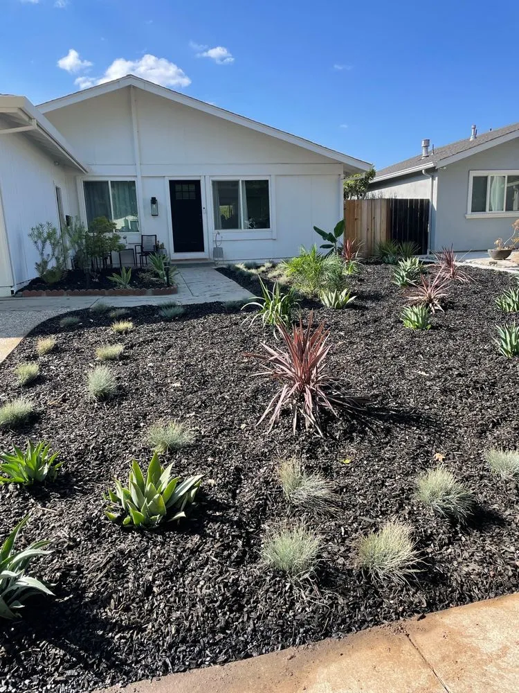 Top-rated lawn mowing service for beautiful yards in San Jose, CA by Penglin Landscaping