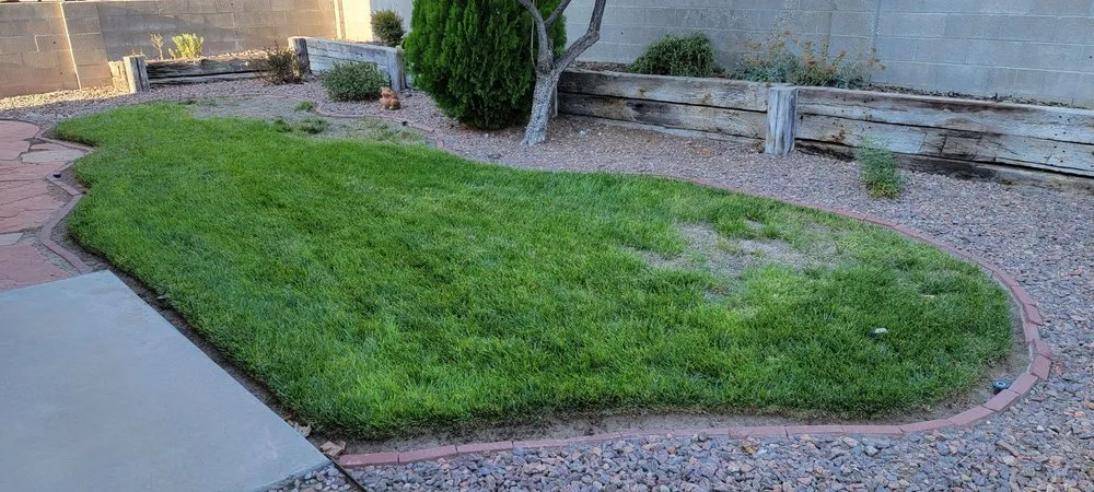Trusted lawn mowing service in Albuquerque, NM by Penguin ABQ