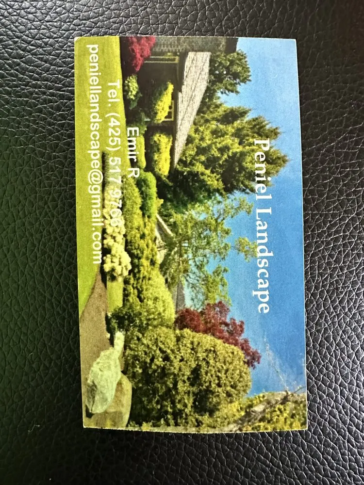 Expert outdoor landscaping in Newcastle, WA - Peniel Landscape