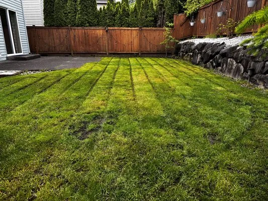 Peniel Landscape Logo