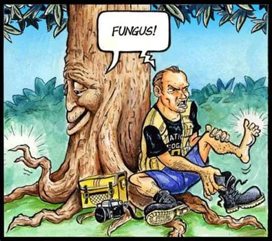 Affordable landscape design experts serving Port Angeles, WA - Peninsula Environmental Group