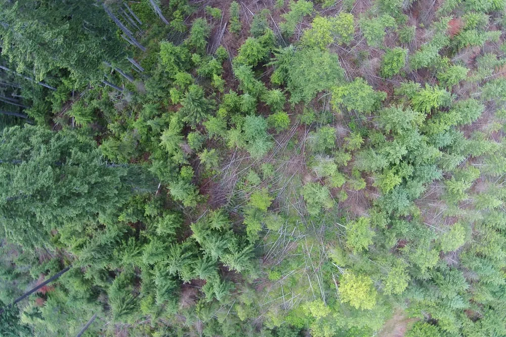 Expert landscape installation in Port Angeles, WA - Peninsula Environmental Group