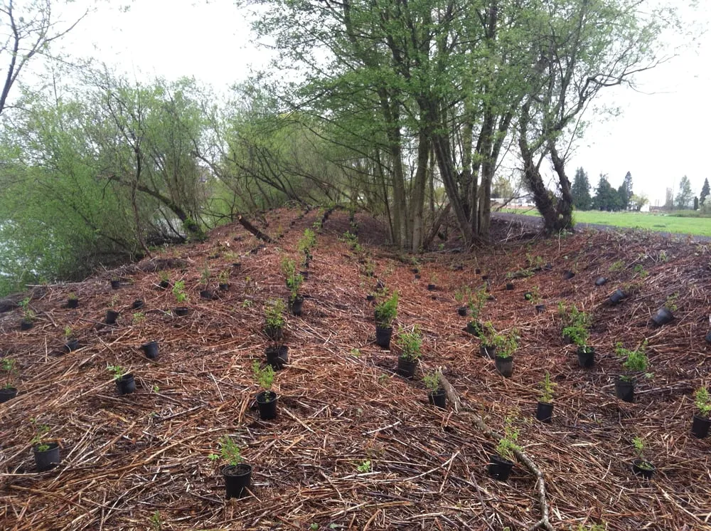 Custom lawn mowing service experts serving Port Angeles, WA - Peninsula Environmental Group