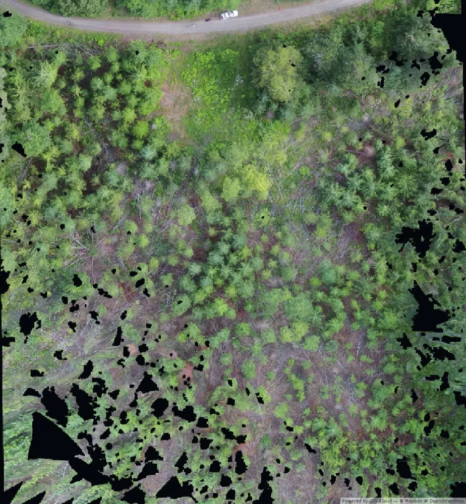 Professional residential landscaping with custom design in Port Angeles, WA by Peninsula Environmental Group