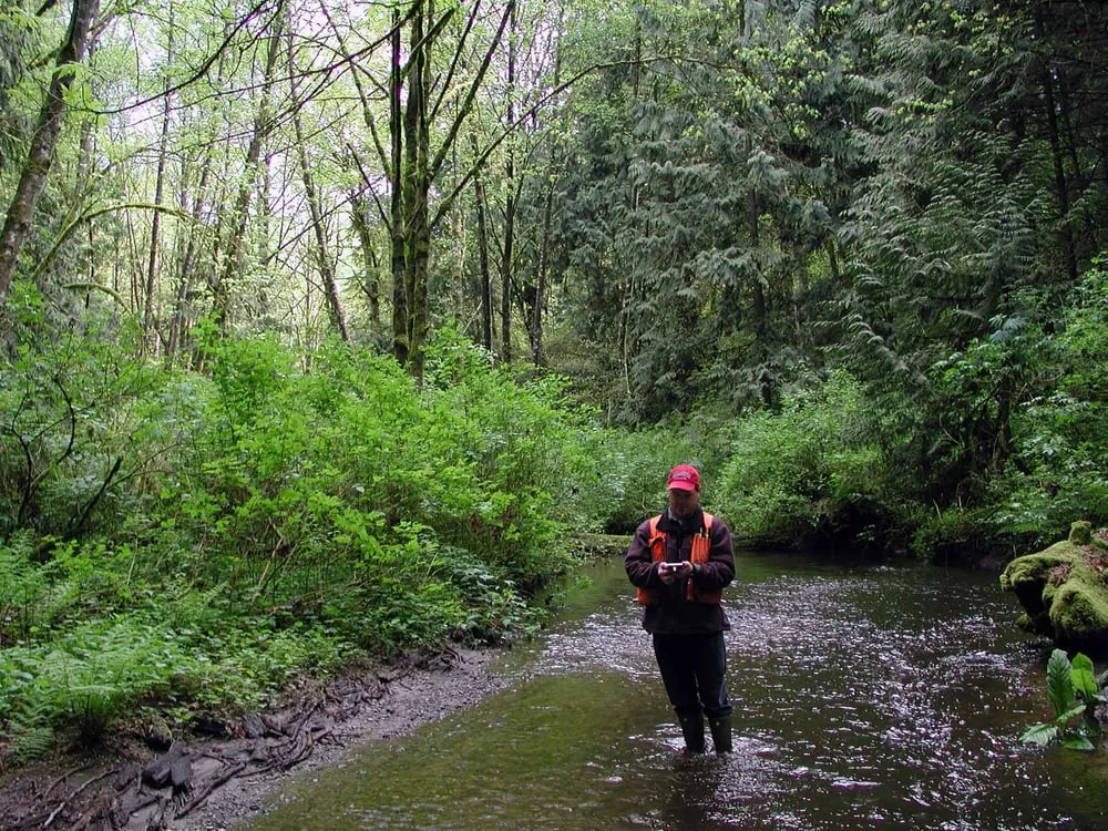Expert landscaping services for residential properties in Port Angeles, WA by Peninsula Environmental Group