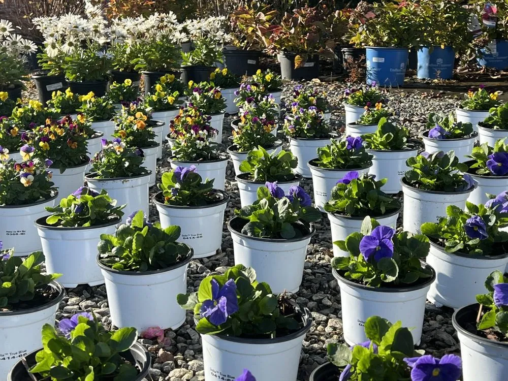 Local residential landscaping in Toano, VA by Peninsula Hardwood Mulch