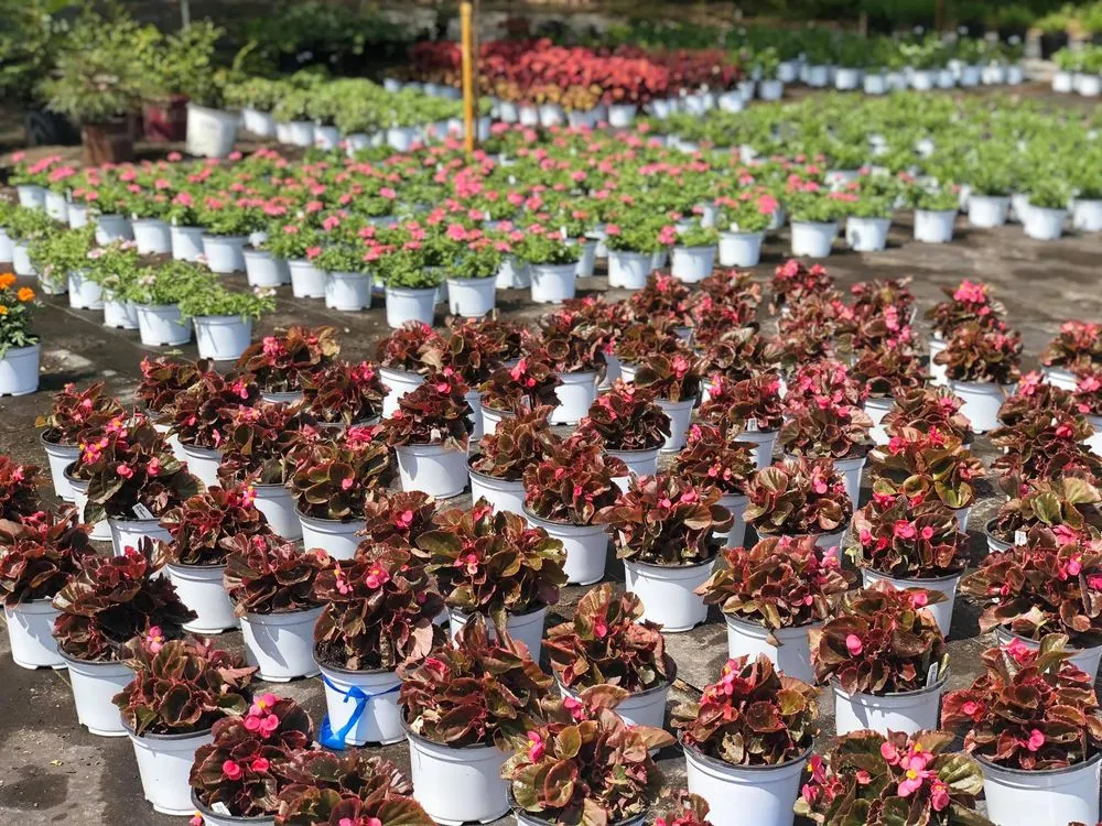 Affordable landscaping services for residential properties in Toano, VA by Peninsula Hardwood Mulch