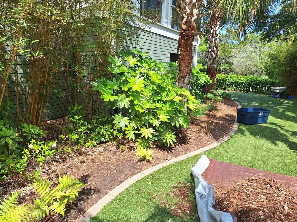 Professional yard maintenance in Mount Pleasant, SC by Peninsula Moving and Landscaping