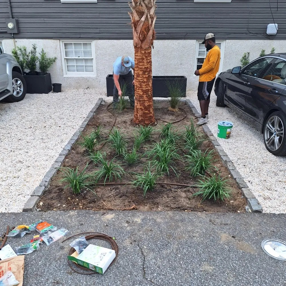 Top-rated yard maintenance in Mount Pleasant, SC by Peninsula Moving and Landscaping