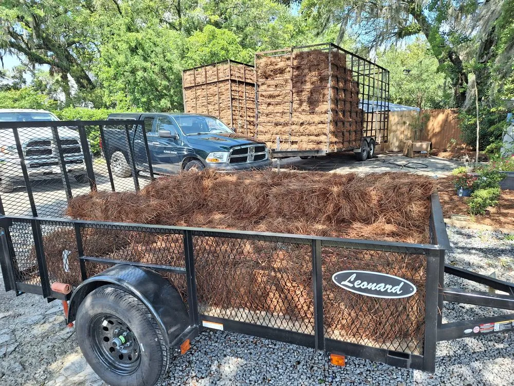 Local lawn care service experts serving Mount Pleasant, SC - Peninsula Moving and Landscaping