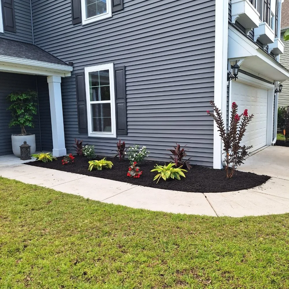 Affordable yard cleanup service in Mount Pleasant, SC by Peninsula Moving and Landscaping