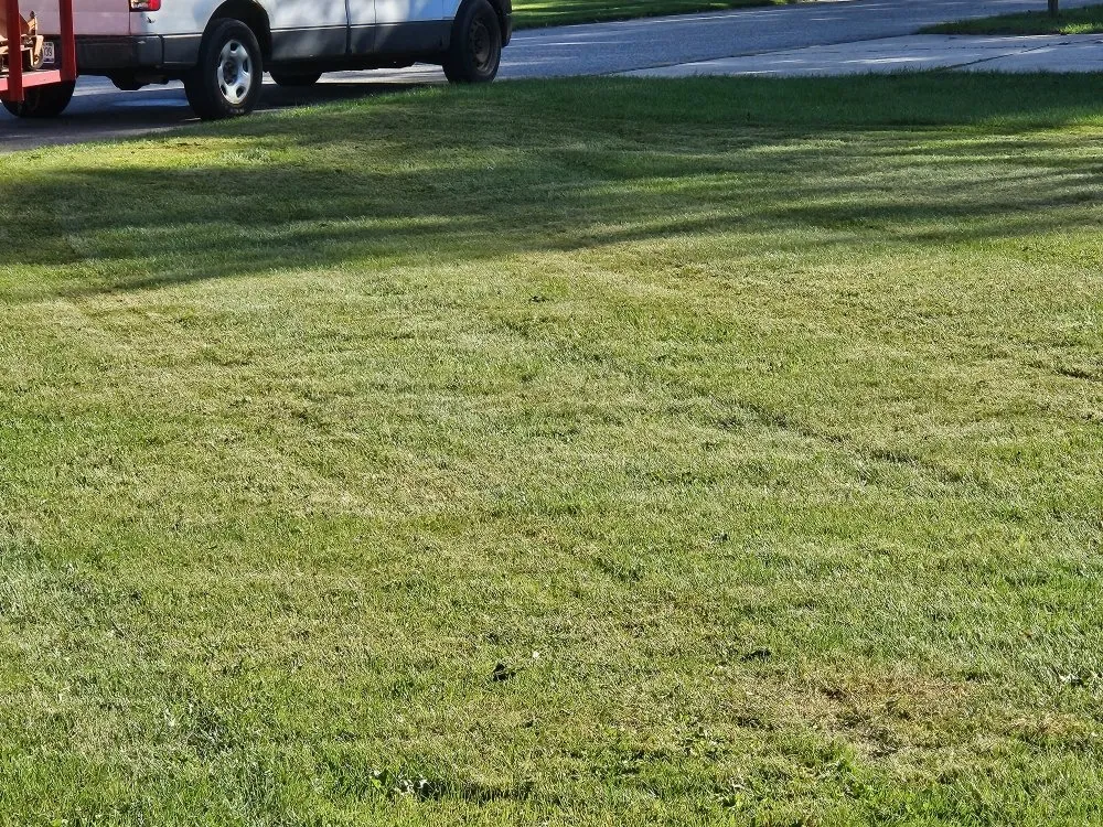 Trusted yard maintenance in Mishawaka, IN by Penn Brothers Lawn and Landscaping