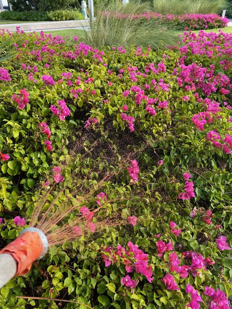 Local lawn mowing service for outdoor upgrades in Homestead, FL by Penn Pest Control and Lawn Maintenance