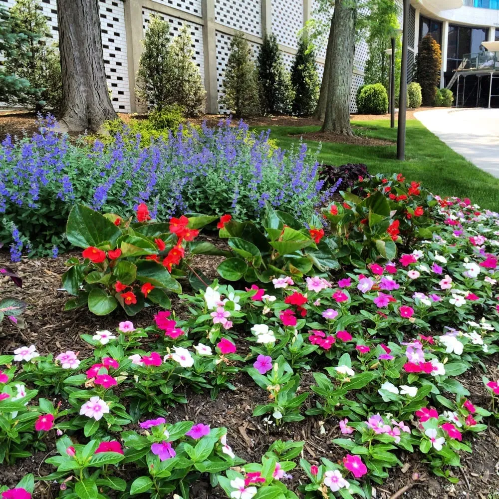 Professional landscaping services for homes across Towaco, NJ - Pennella's Landscape Designs, LLC