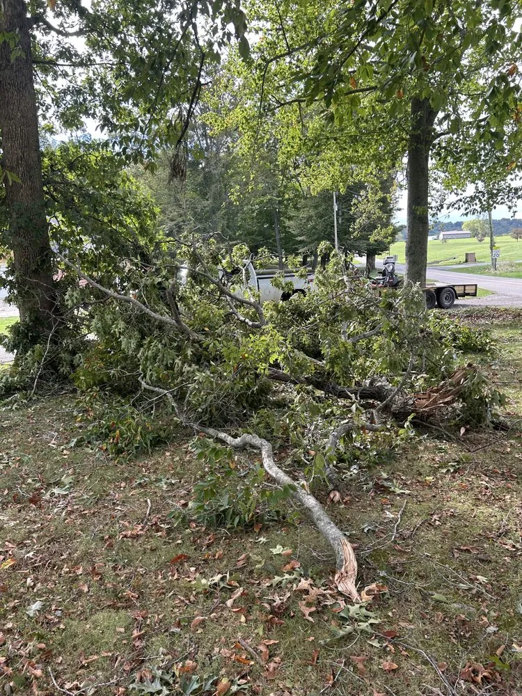 Professional landscaping services near you in Wheelersburg, OH by Pennington Lawn & Landscape