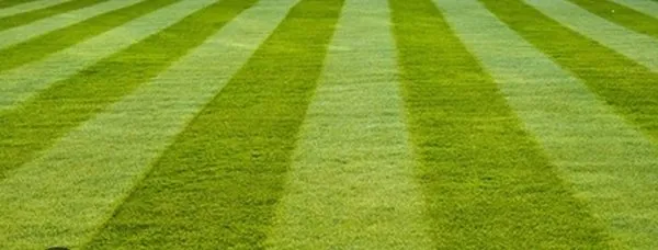 Pennington Lawn Care Logo