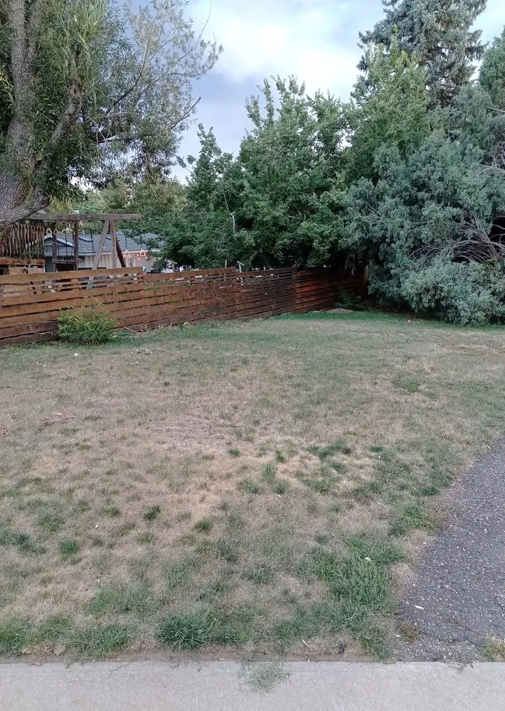 Expert residential landscaping in Madison, GA - Pennington's Smart Seed