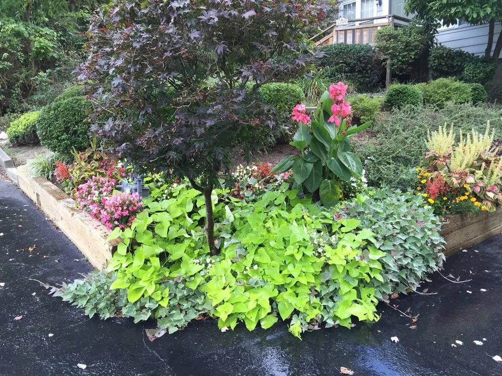 Local yard maintenance in Verona, PA by Pennlandscape & Cement Work