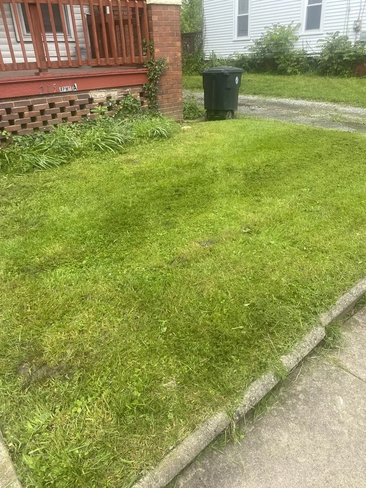 Top-rated landscape design in Warren, OH - Pennocks Lawn Care