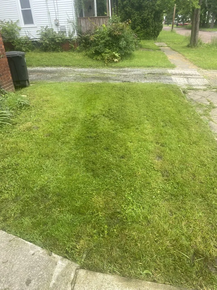 Trusted lawn mowing service in Warren, OH - Pennocks Lawn Care
