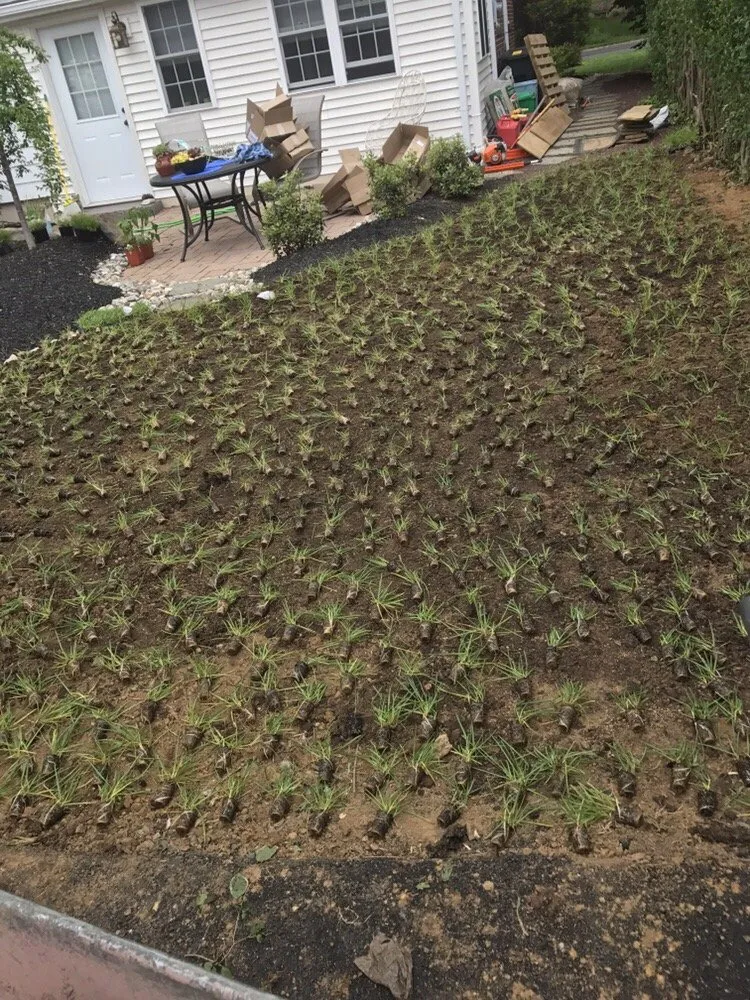 Professional landscape installation with custom design in Trexlertown, PA by Penns Landscape