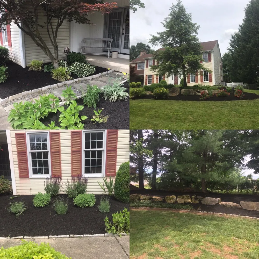 Custom yard cleanup service in Trexlertown, PA by Penns Landscape