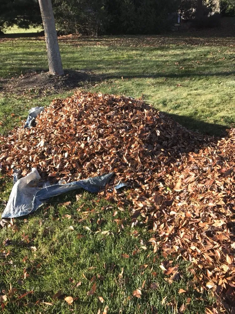 Custom yard cleanup service with custom design in Trexlertown, PA by Penns Landscape