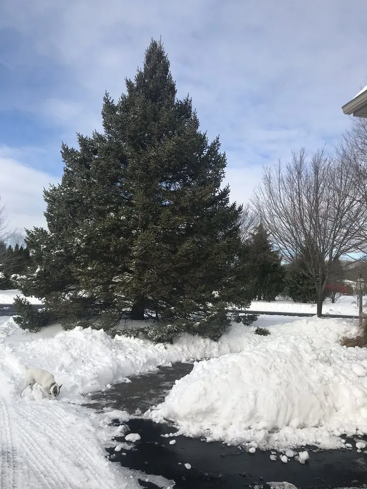 Professional yard cleanup service experts serving Orefield, PA - Pennsylvania Lawn & Landscape