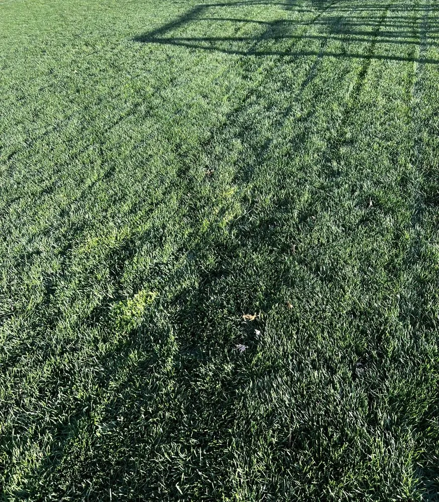 Custom lawn mowing service in Glenside, PA - Pennsylvania Turf