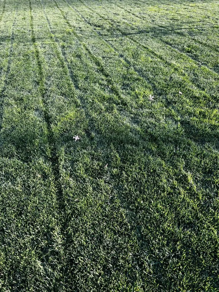 Top-rated garden landscaping with custom design in Glenside, PA by Pennsylvania Turf