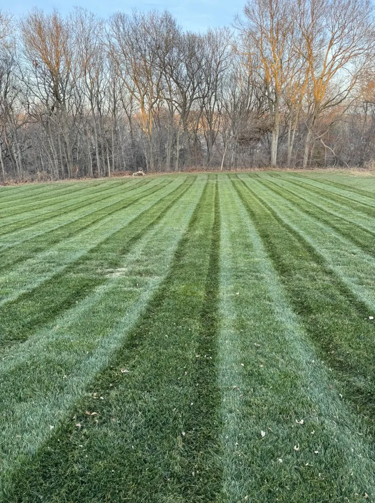 Local yard maintenance for homes in Kansas City, MO by Penny Creek Landscape & Construction