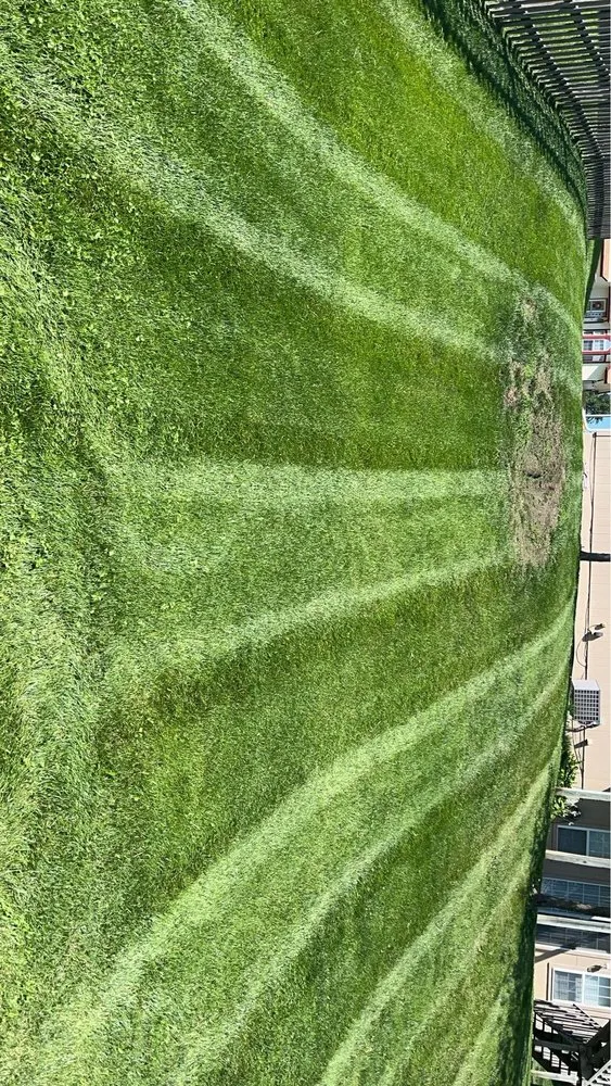 Professional lawn mowing service for outdoor upgrades across Kansas City, MO - Penny Creek Landscape & Construction