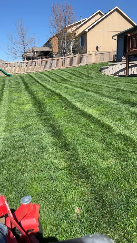 Top-rated landscape design in Kansas City, MO by Penny Creek Landscape & Construction