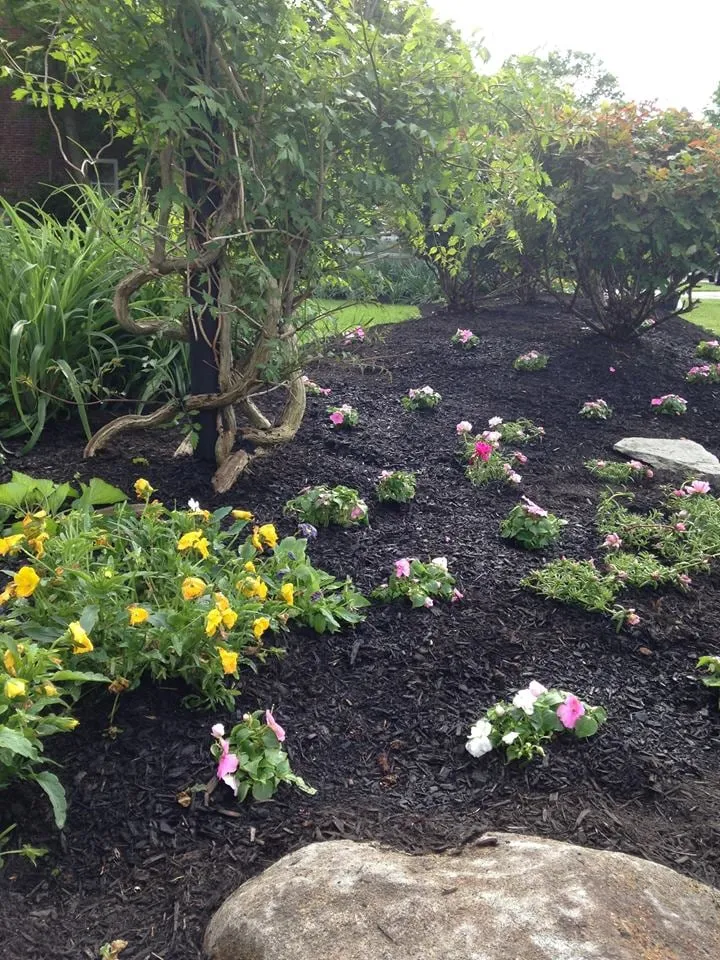 Reliable outdoor landscaping experts serving Wilmington, DE - Penny Hill Lawn & Landscape