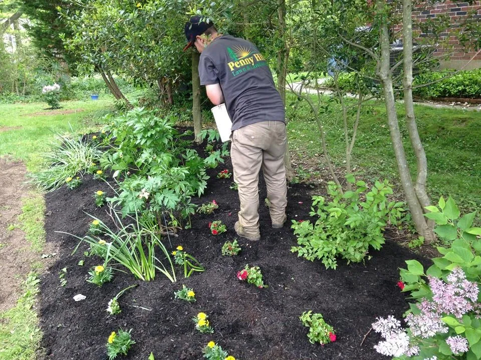 Professional lawn care service in Wilmington, DE by Penny Hill Lawn & Landscape