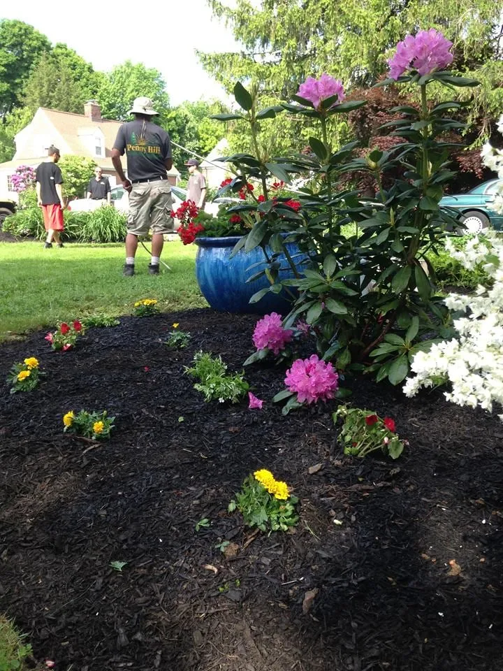 Trusted landscaping services experts serving Wilmington, DE - Penny Hill Lawn & Landscape