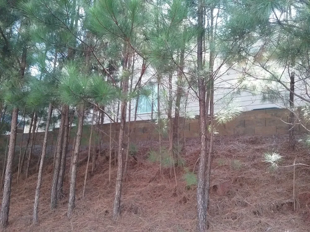 Top-rated landscape installation with custom design in Marietta, GA by Penny Lawns