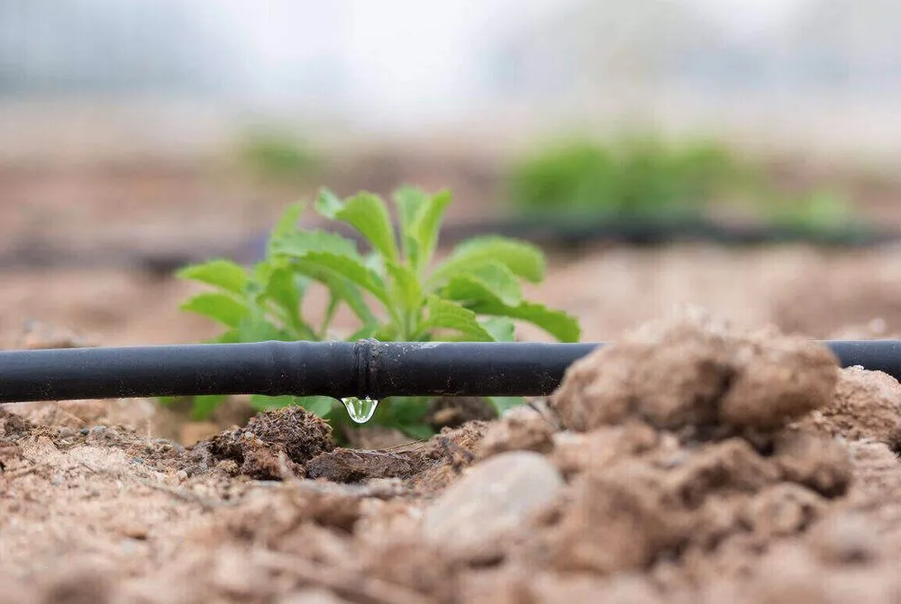 Reliable garden landscaping experts serving Glendora, NJ - Pennygreen Sprinklers